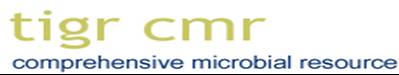 TIGR CMR
